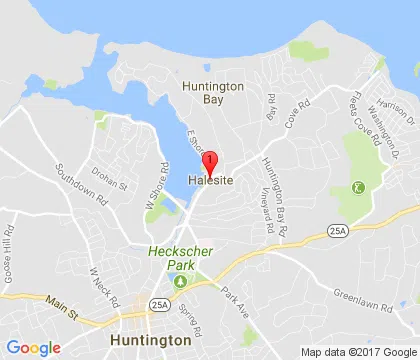 logo-image - halesite-ny